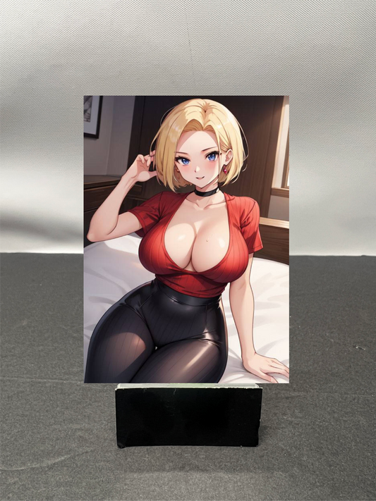 Android 18 w6223