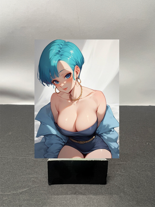 Bulma Dragonball w6369