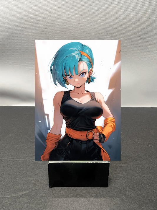 Bulma Dragonball w6372