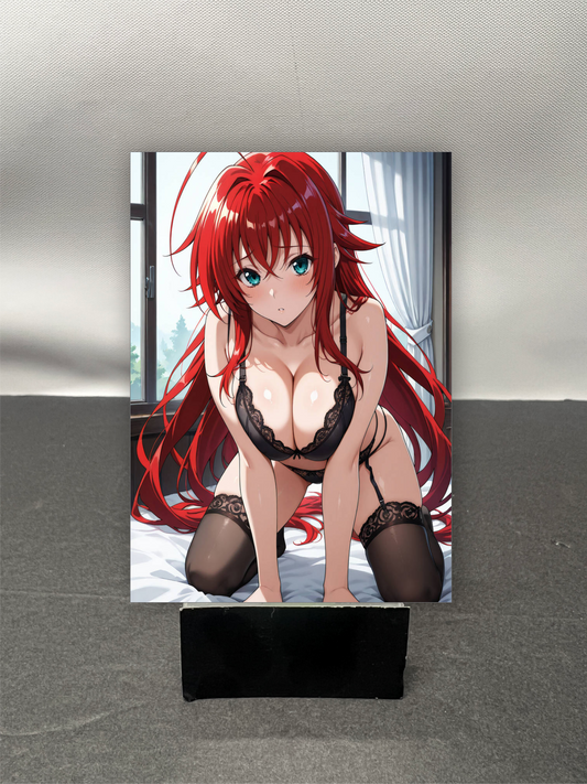 Rias Gremory w6872