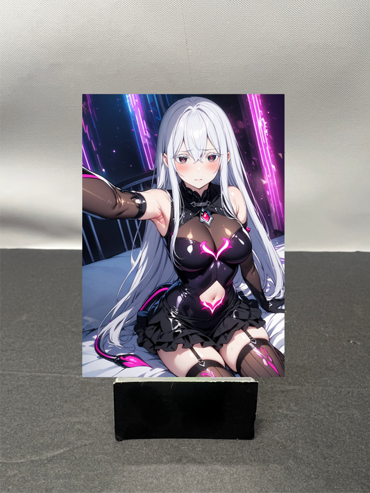 Echidna w6047