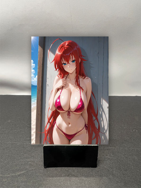 Rias Gremory w6865